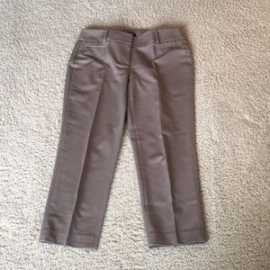 Loft pants